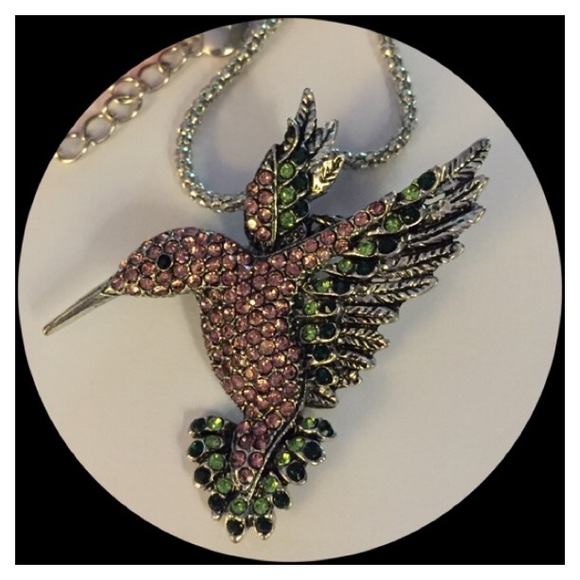 Betsey Johnson Jewelry - 🆕👀Look it’s A Hummer Pendant & Brooch